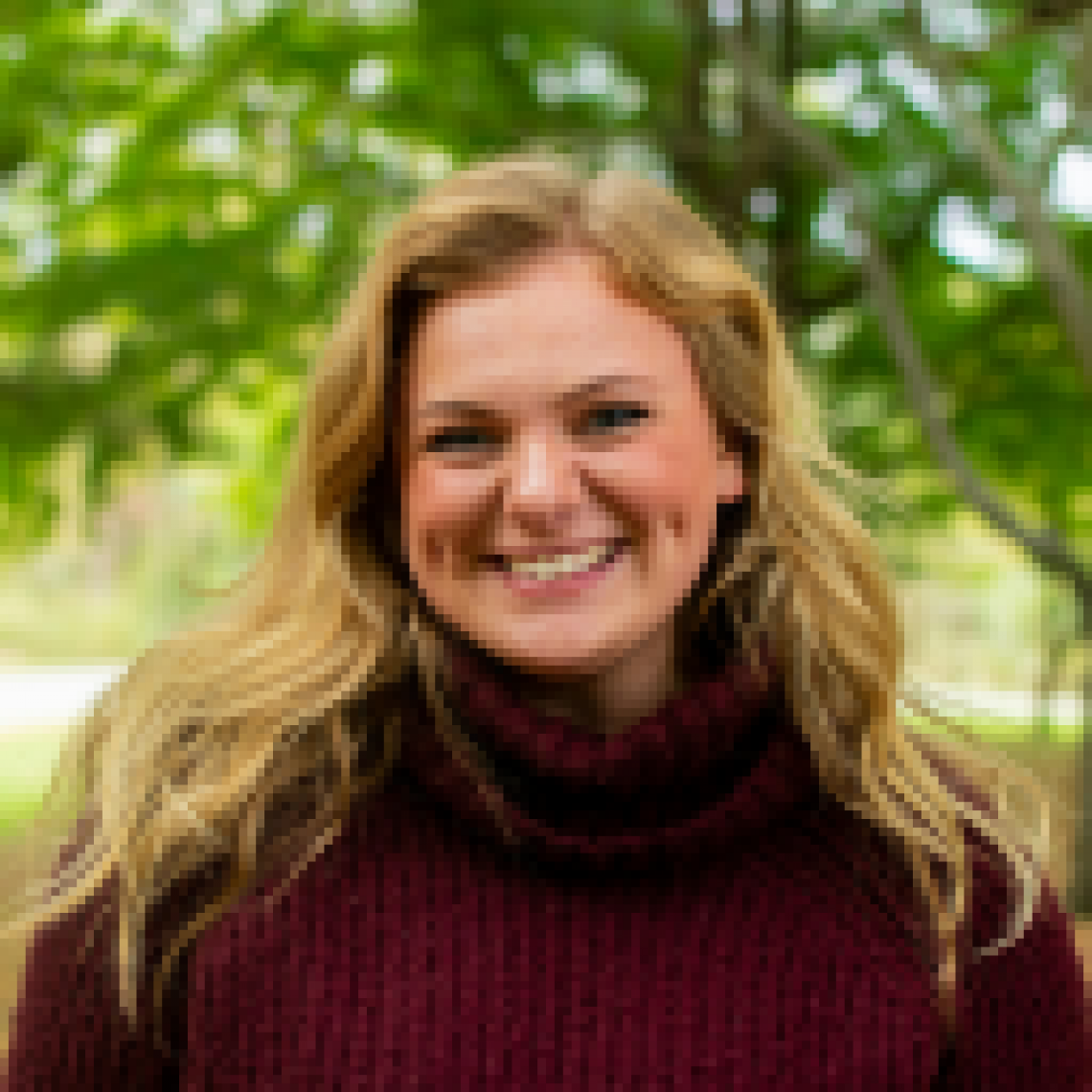 Customer Testimonails